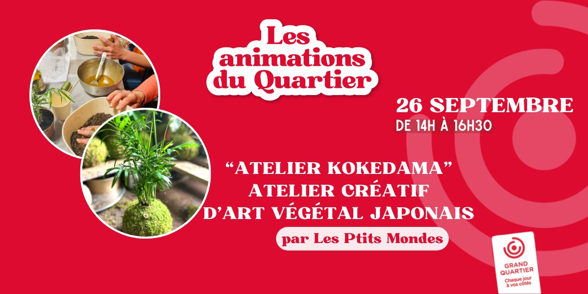 Réalisez un atelier kokedama