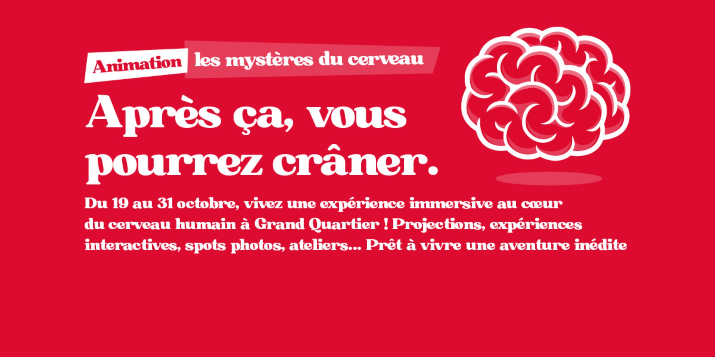 Ateliers enfants du 19 au 24/10 - Les Mystères du cerveau